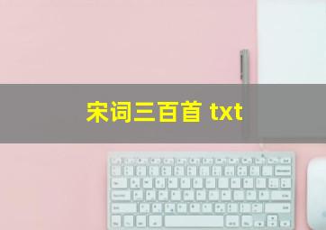 宋词三百首 txt